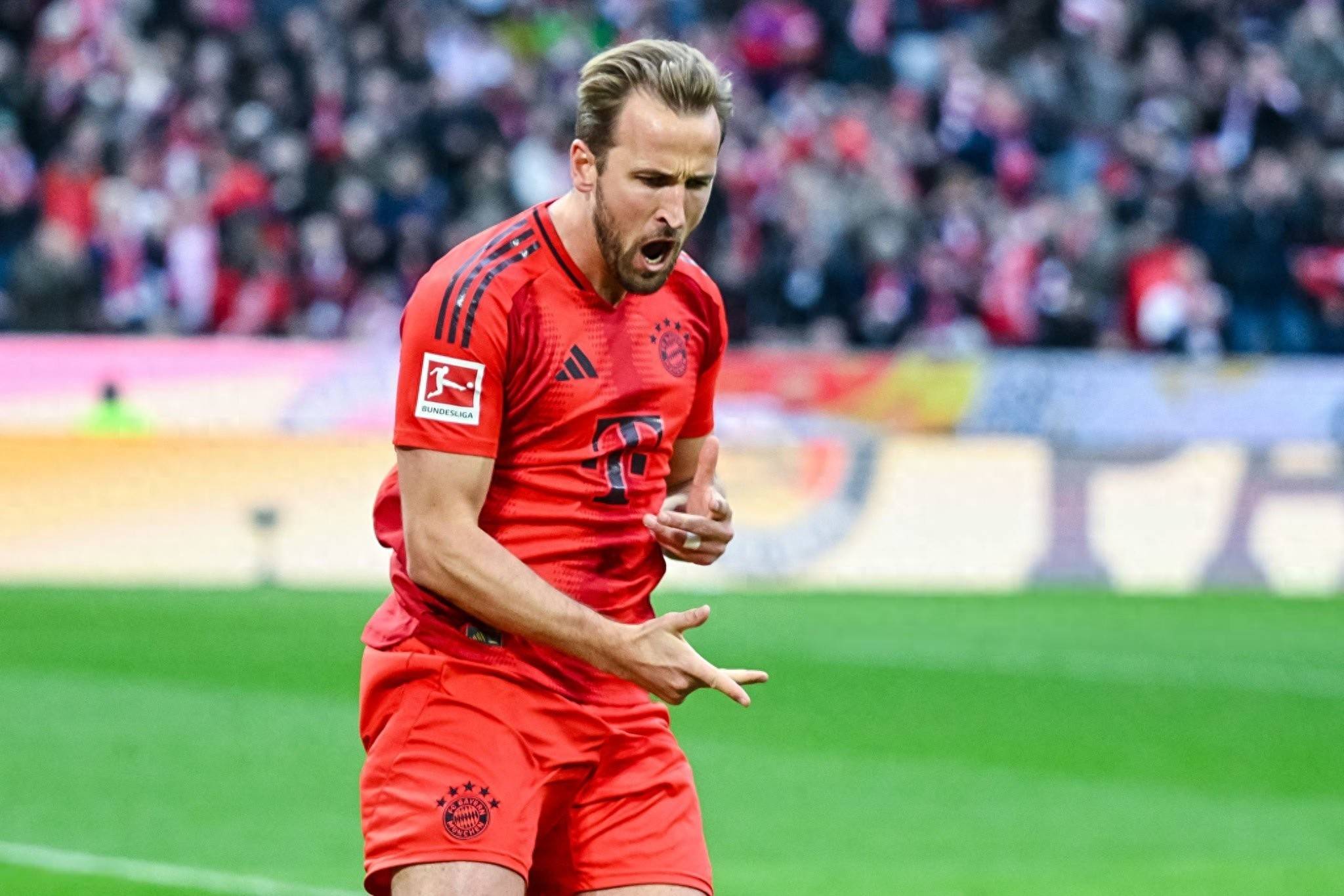 华体会体育官方网站包含凯恩连续七场比赛得分超过挺进下一轮，加拿大队挑战极限！的词条